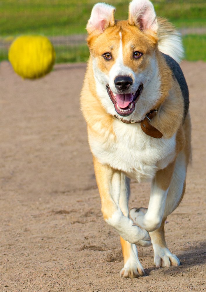 Photograph by Рутковский Дмитрий