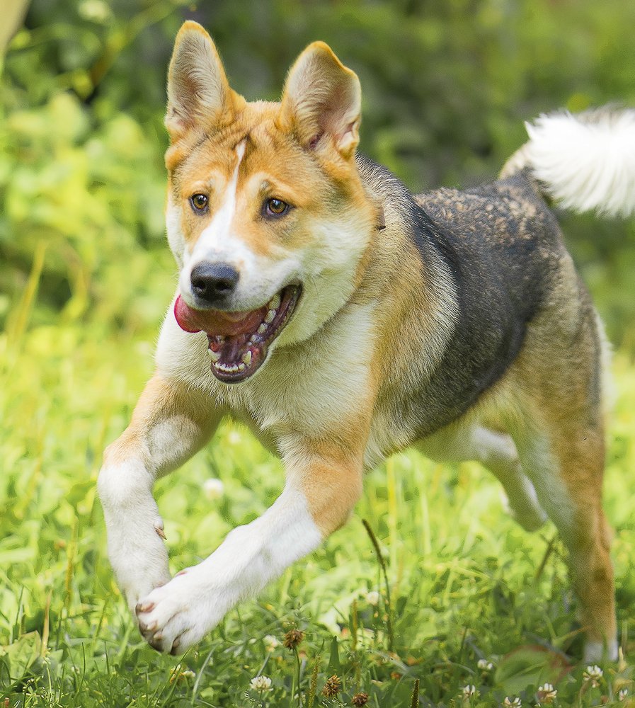 Photograph by Рутковский Дмитрий