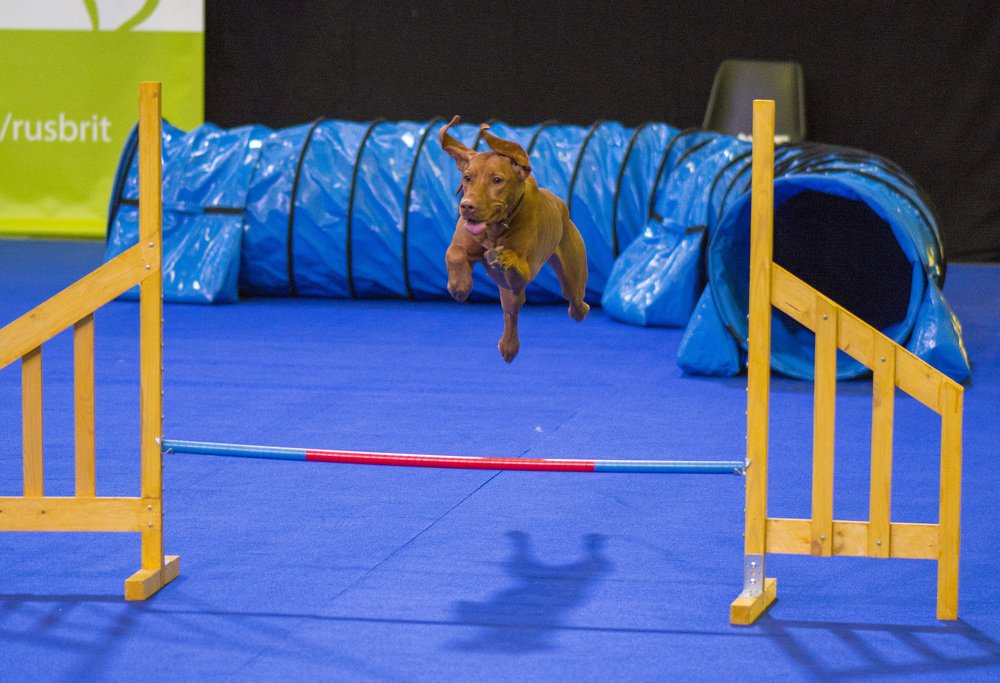 Photograph by Рутковский Дмитрий