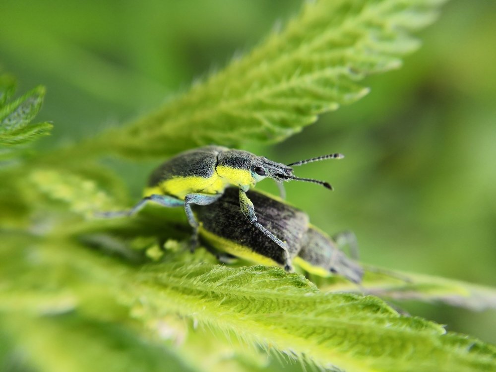Photograph by Екатерина Аксёнова