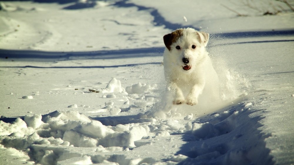 Photograph by cartoon62