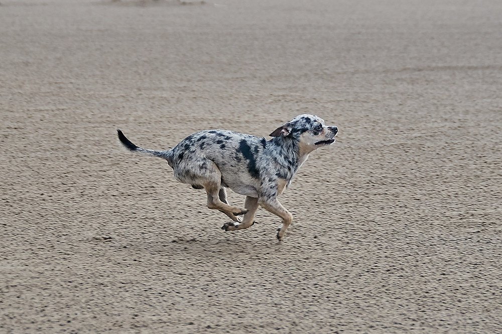 Photograph by Алексей Приешкин
