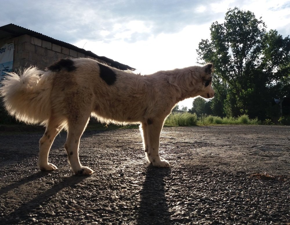 Photograph by Sadaf Saeed