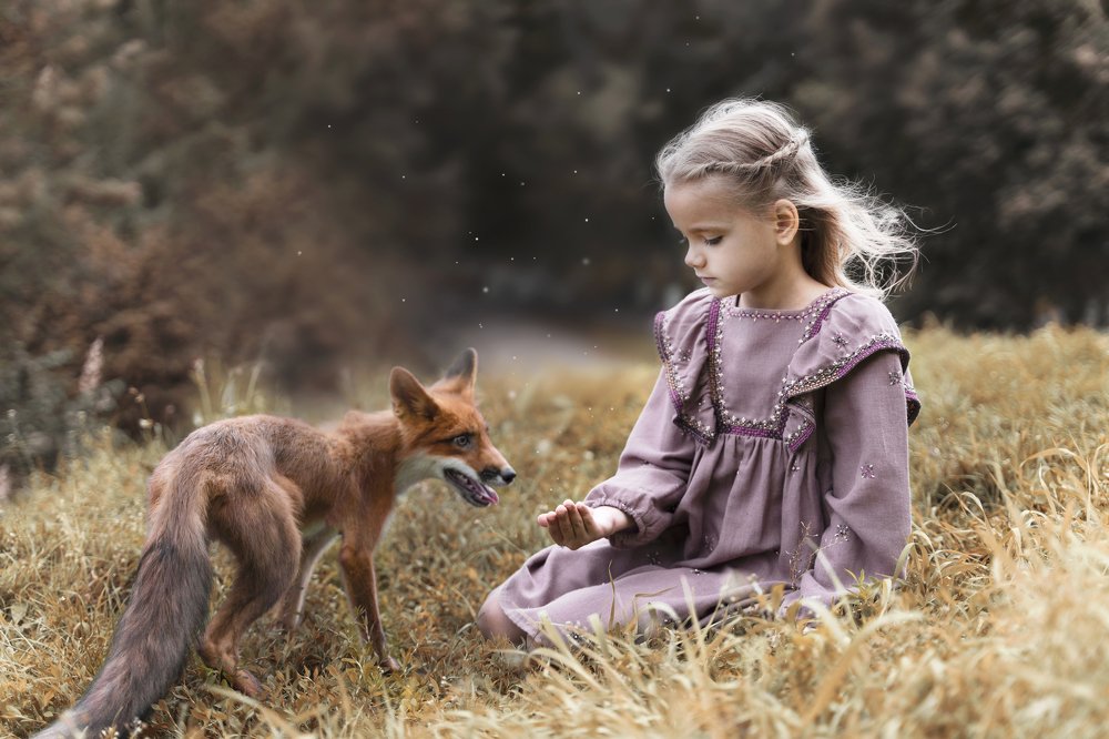 Девочка и лис.История дружбы.