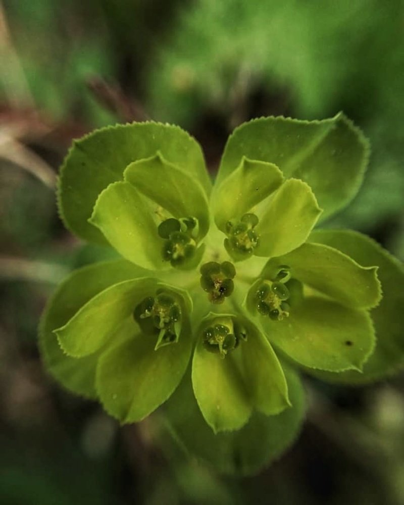 Photograph by Sadaf Saeed