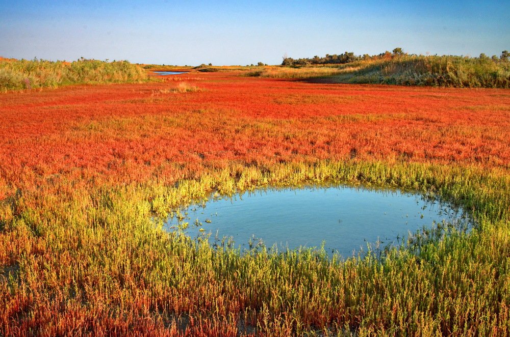 Photograph by Мария Воронцова