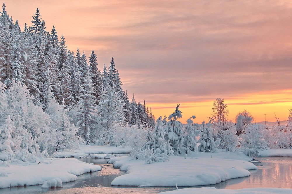 Photograph by Александр Алабушев