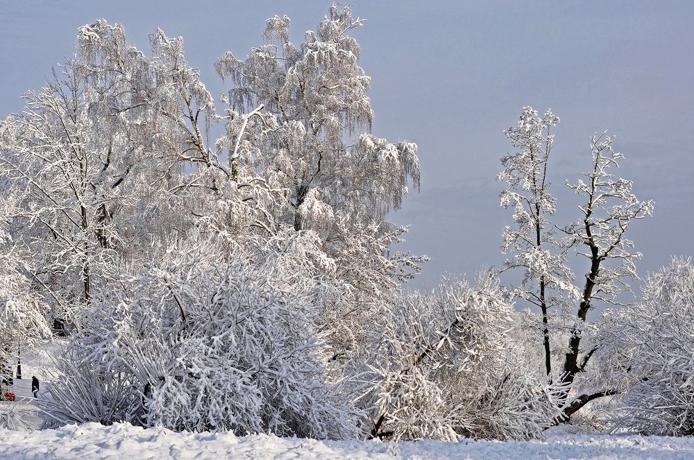 Фотография автора Антип