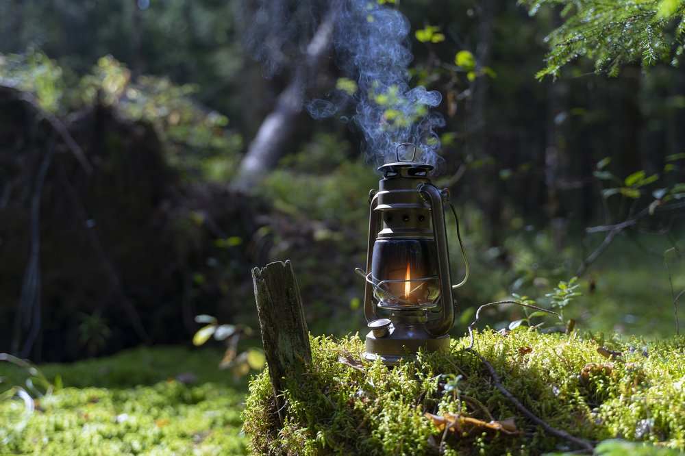 Photograph by Екатерина Айрис