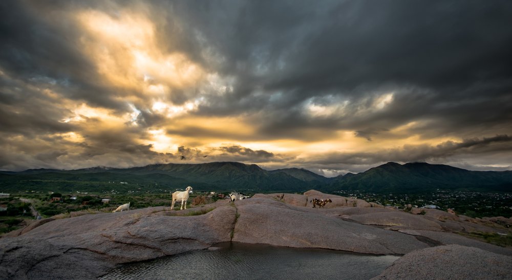 Photograph by Jorge Luis Bravo