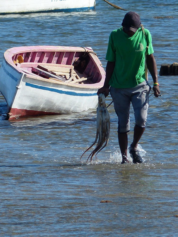 Octopus picker in Rodrigues Island