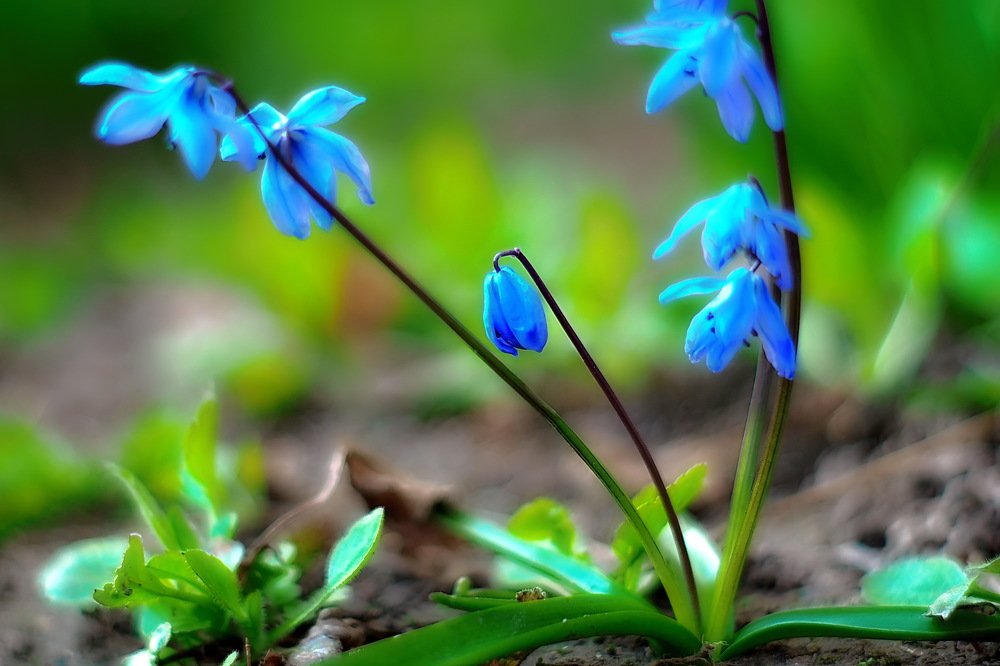 Photograph by 