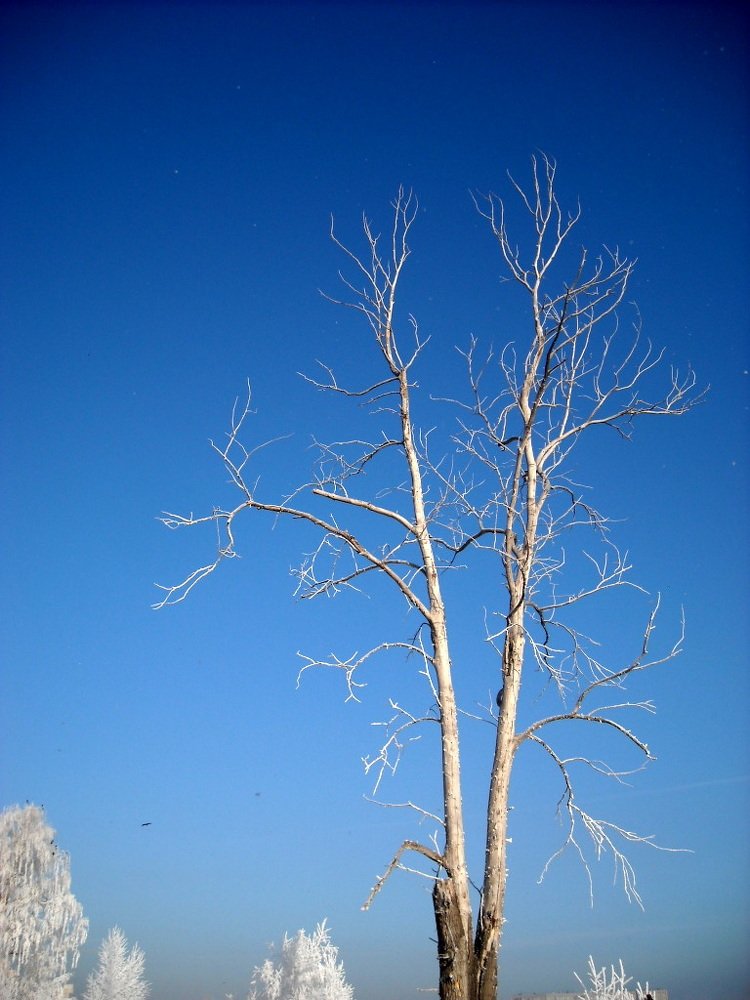 Photograph by Евгений Рогачевский