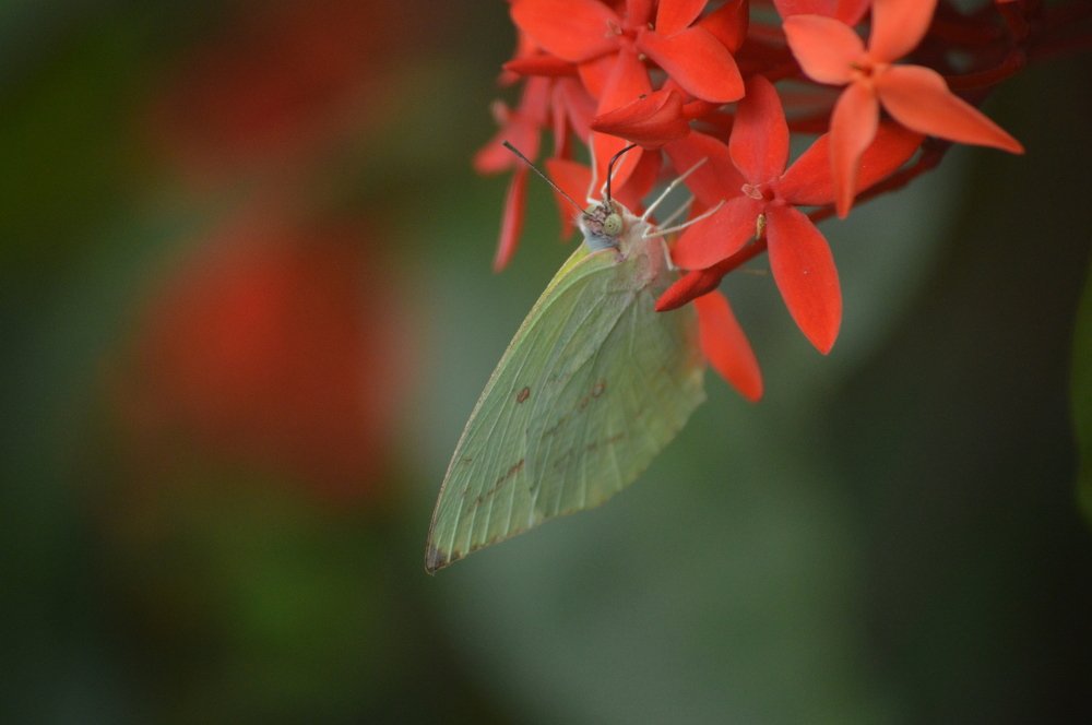 Photograph by Nayan Nandurkar