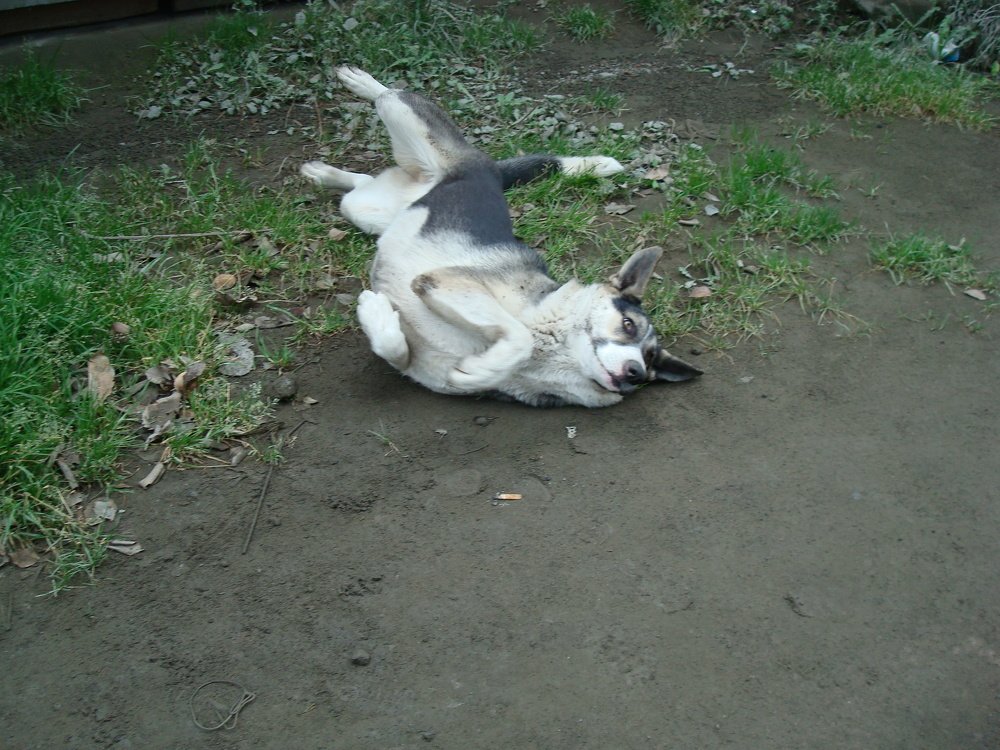 Photograph by Виталий