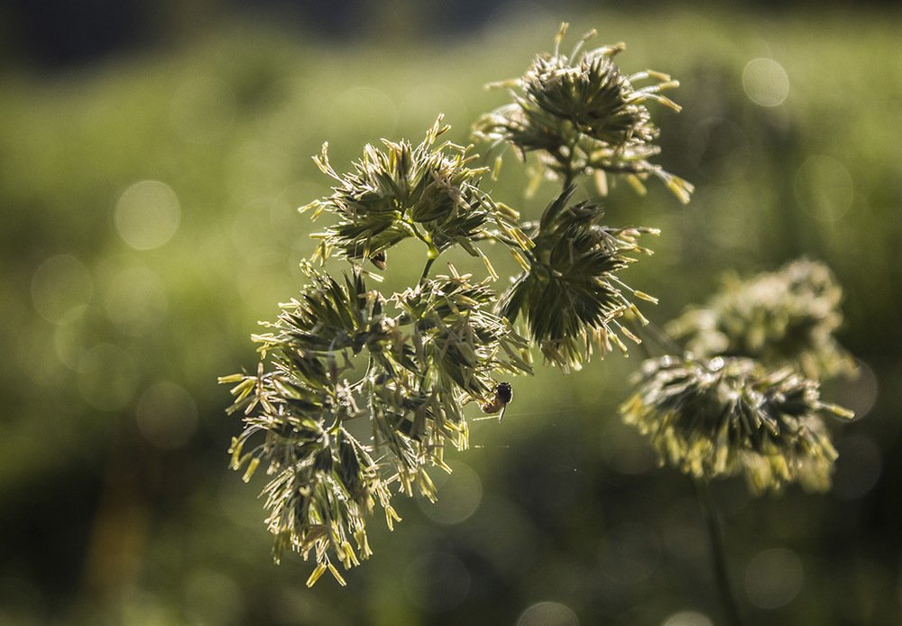 Photograph by Елена Белинская