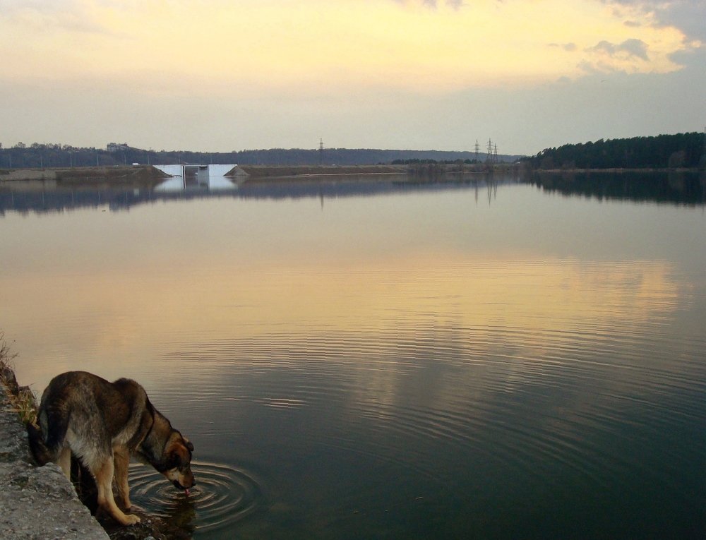 Photograph by Виталий