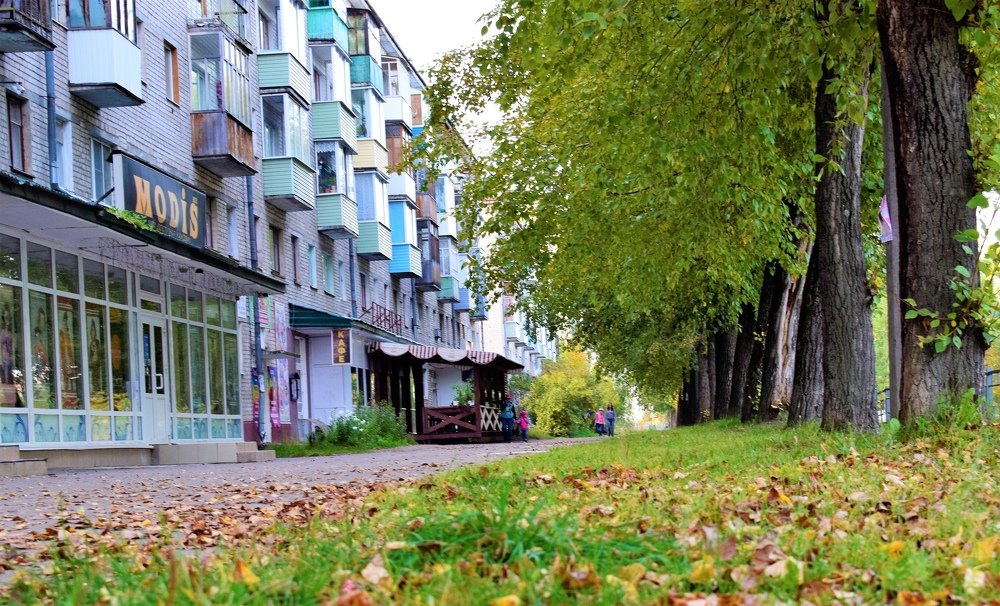 Фотография автора Алексей Усов