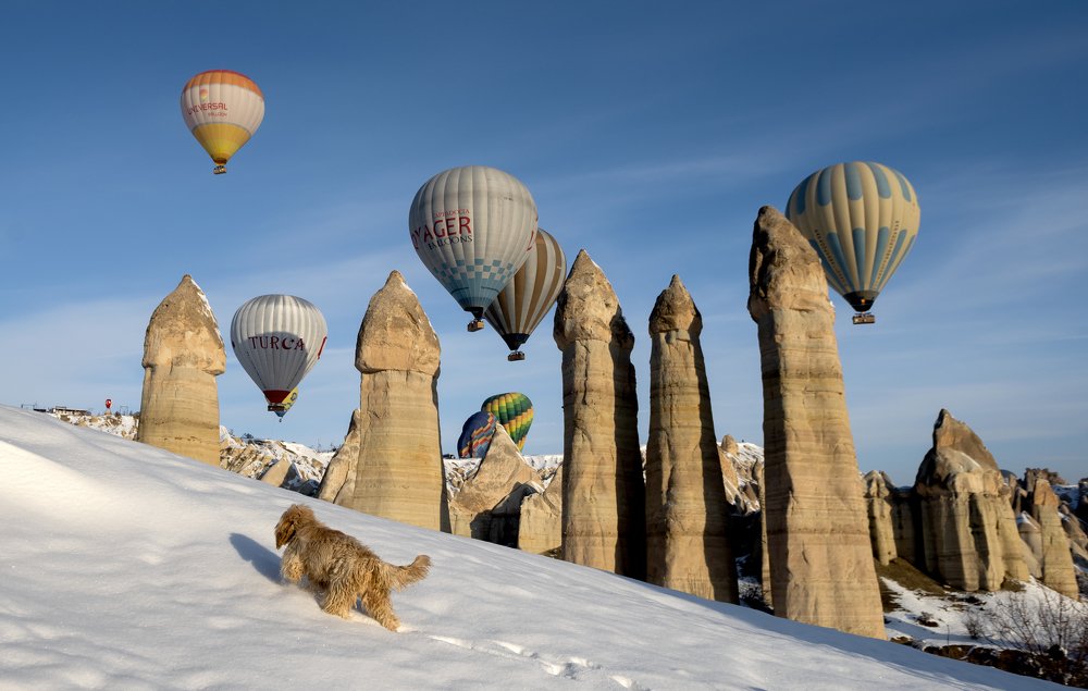 Photograph by Derya Yazar