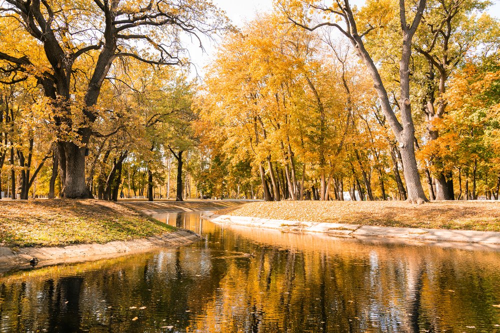 Photograph by Оксана Шарабанова