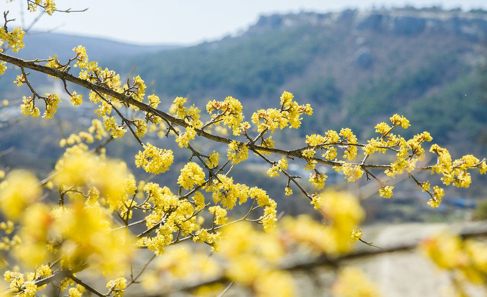 Photograph by Елена Покрепа