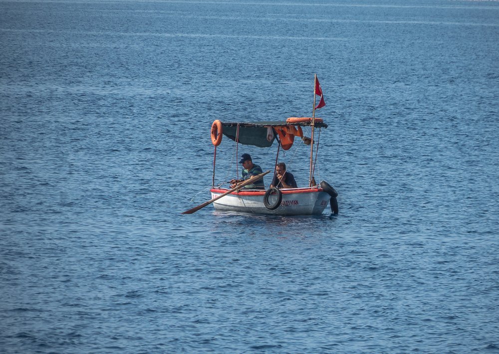 Photograph by Цветков Сергей