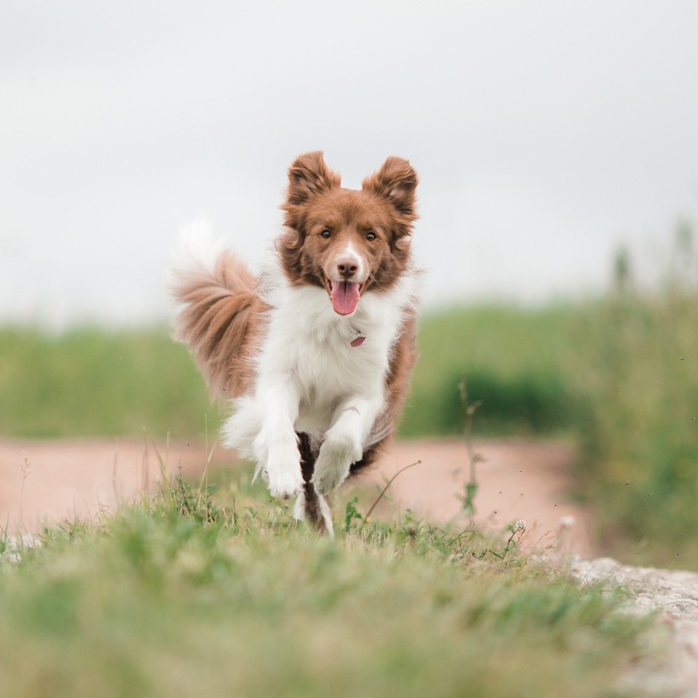 Photograph by Денис