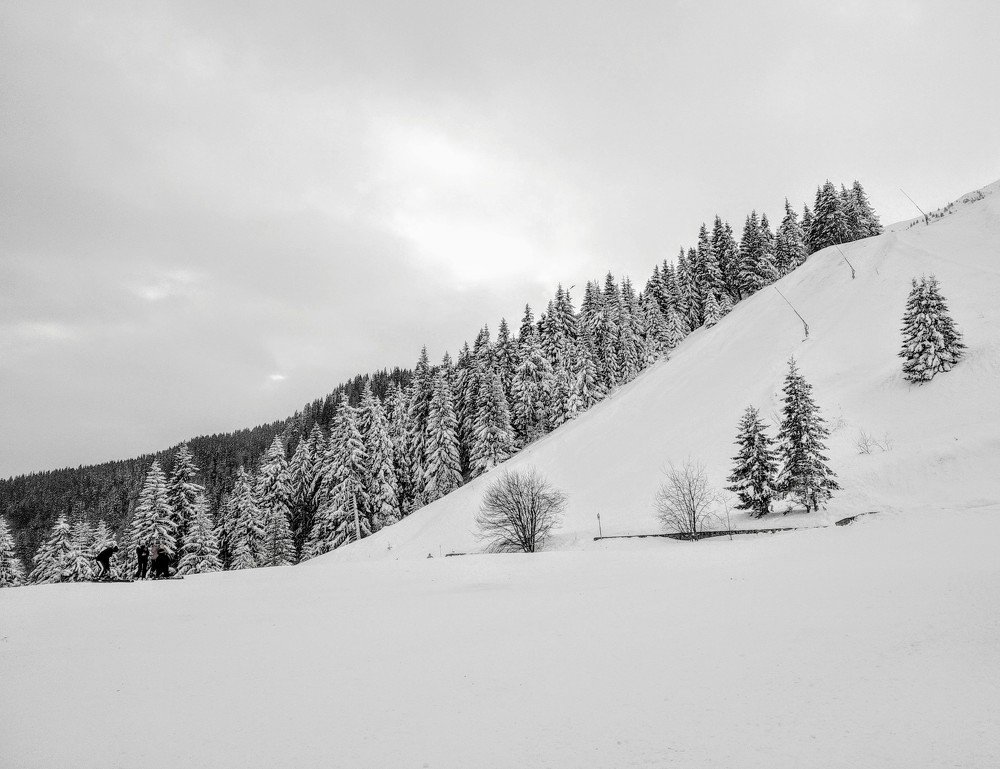 Photograph by Anna Doncila