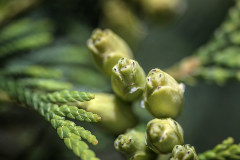 Photograph by Мария Самохина