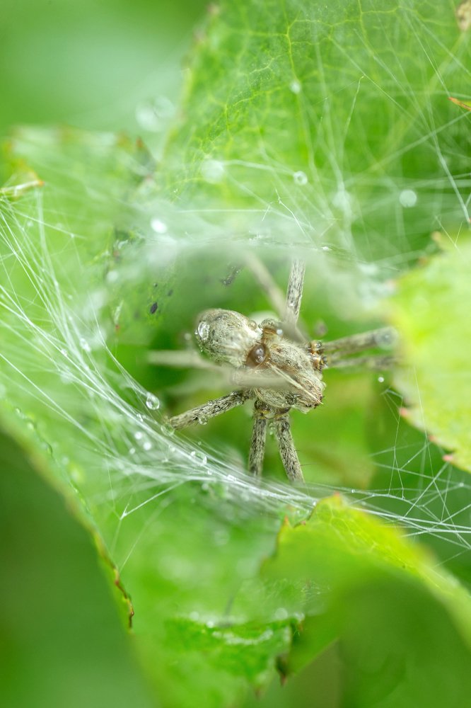 Photograph by Мария Самохина