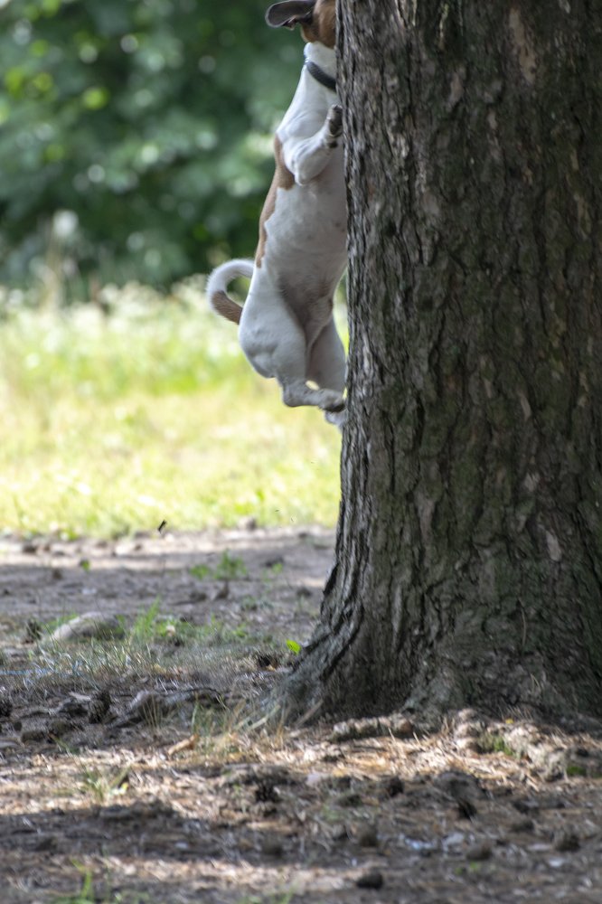 Photograph by Tatiana Zuikova