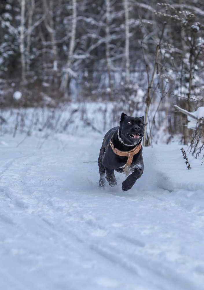 Photograph by Мария Самохина