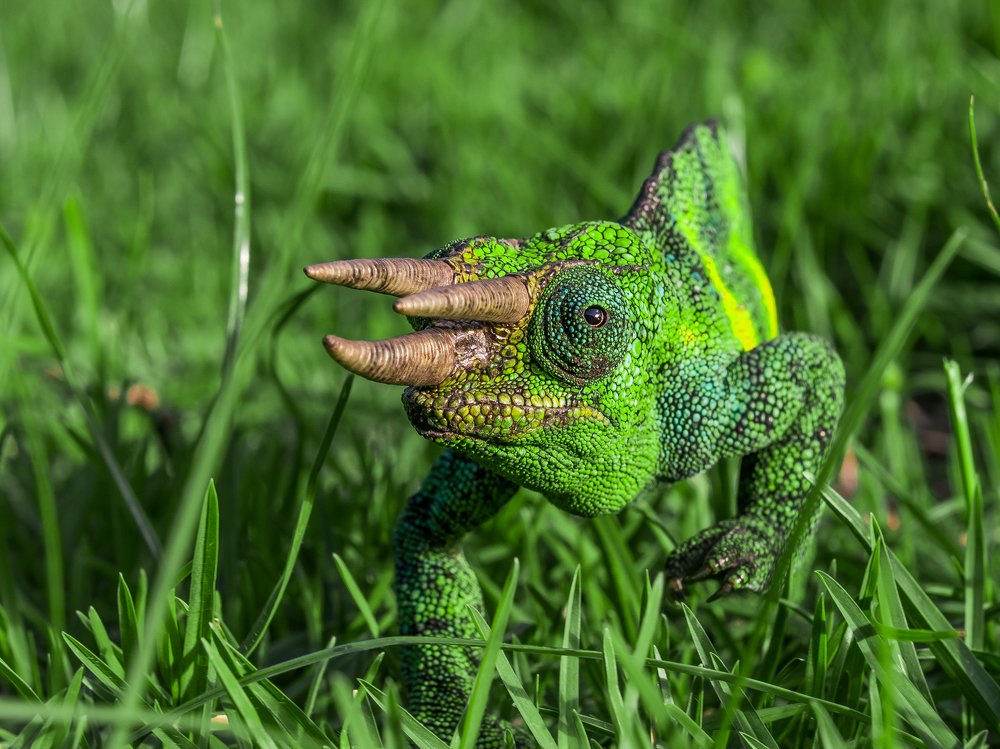 Haven´t We Met Before?