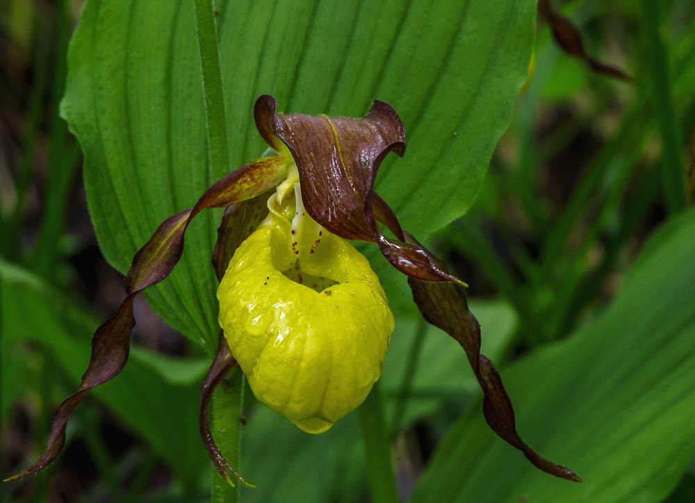 Photograph by Цветков Сергей