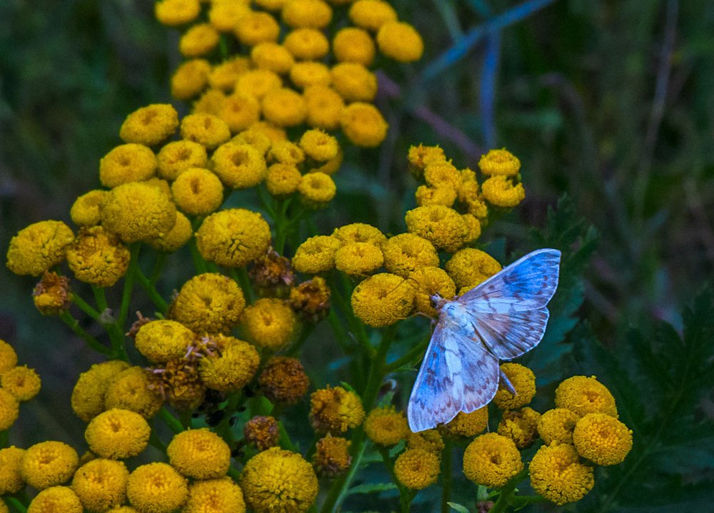 Photograph by Цветков Сергей