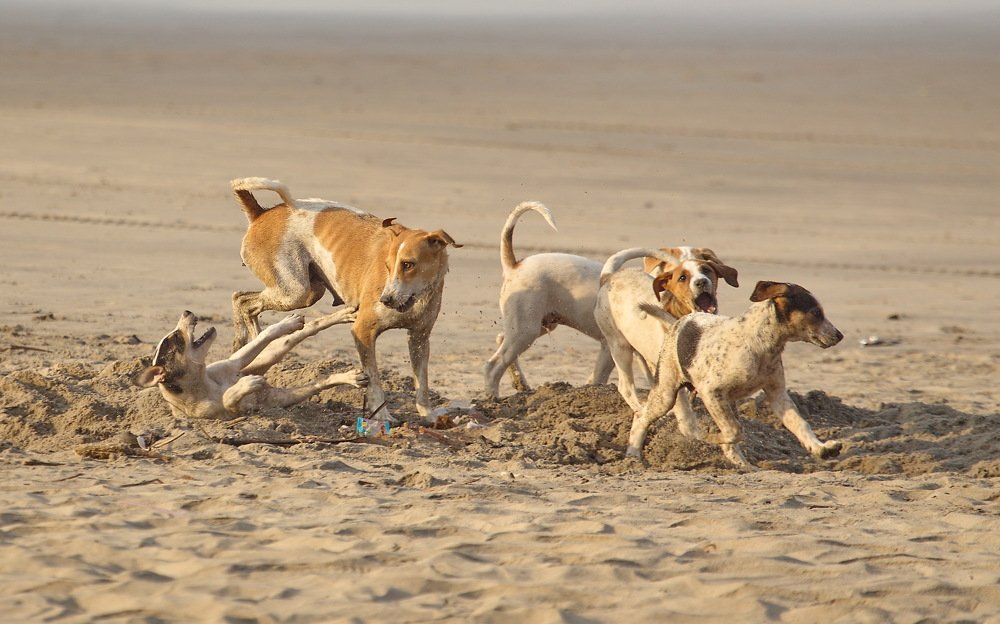 Photograph by Александр Столяров