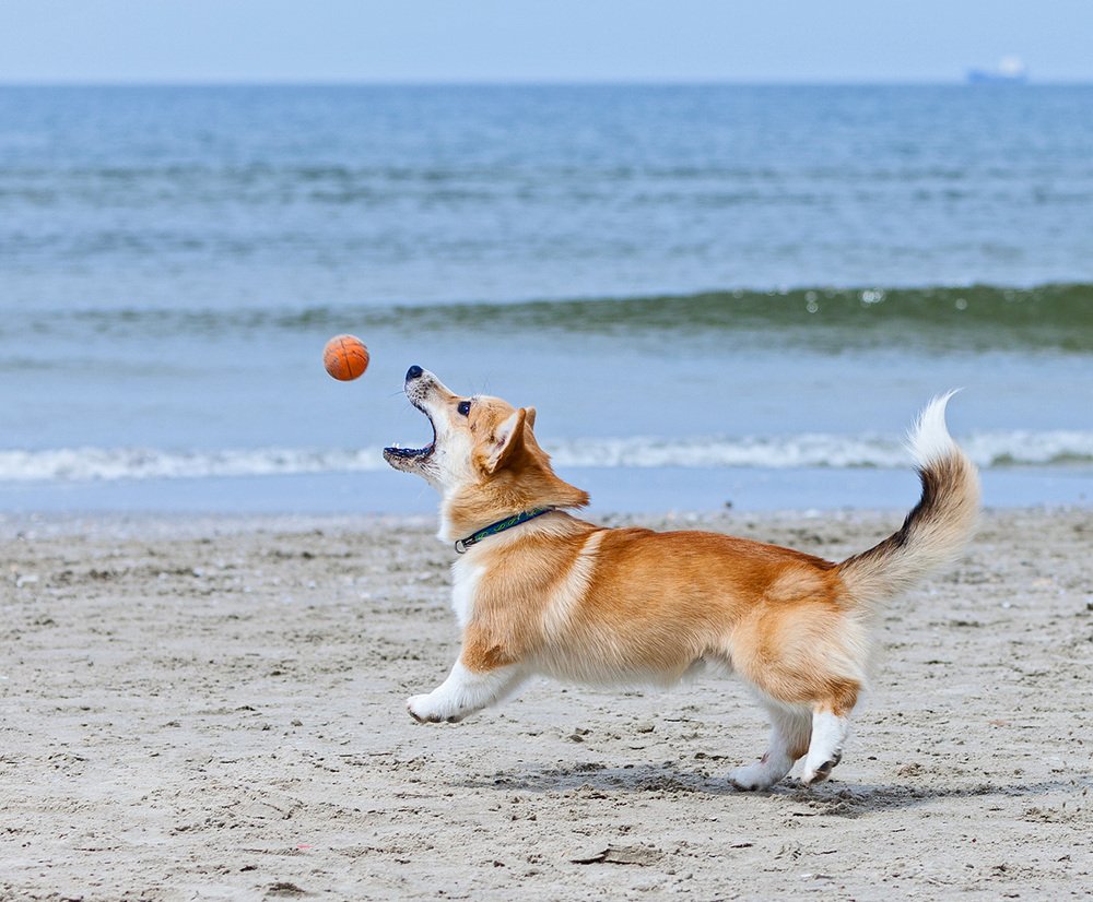 Photograph by Alex Perelman