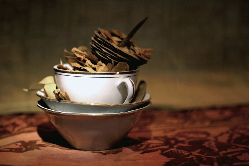 Шишка в стакане