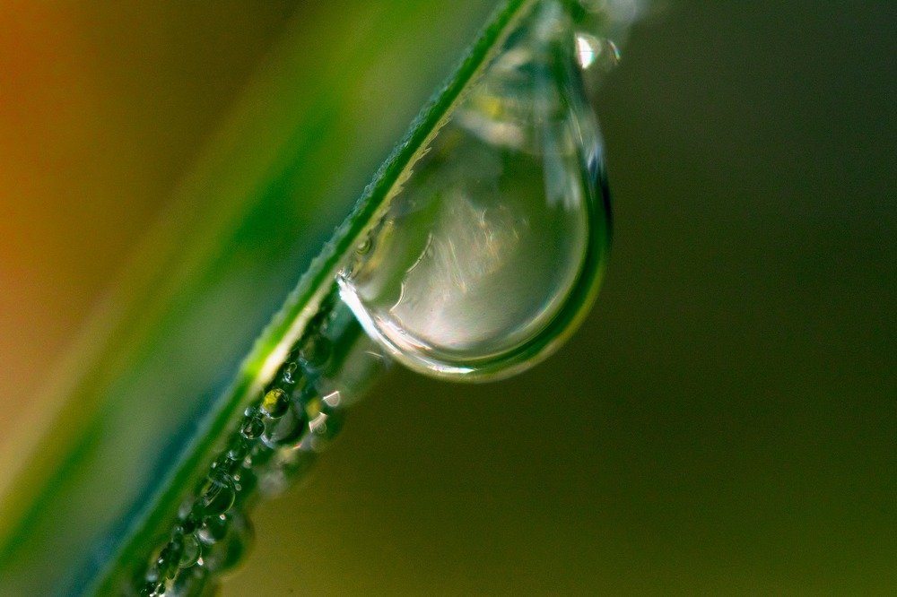 Photograph by Serhij Kharchenko