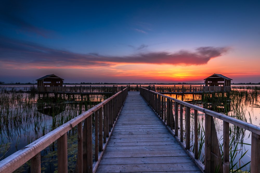 Sunset in Amir Kalayeh Wetland