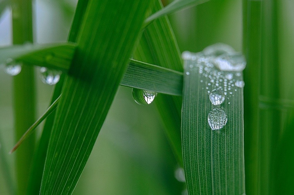 Photograph by Serhij Kharchenko