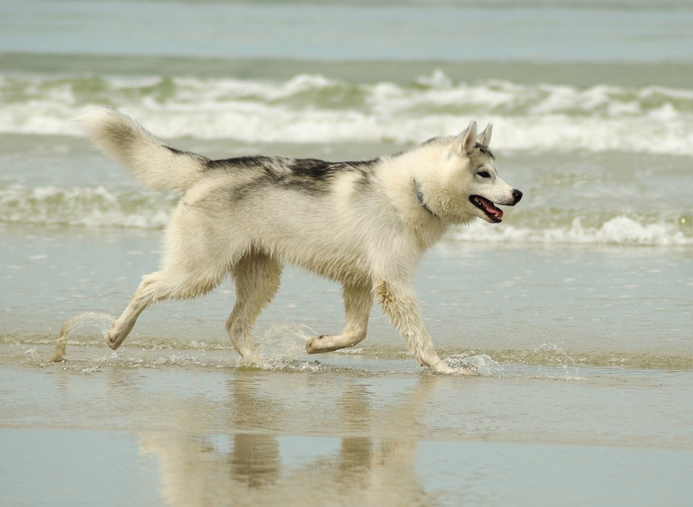 Фотография автора Юрий Макаров
