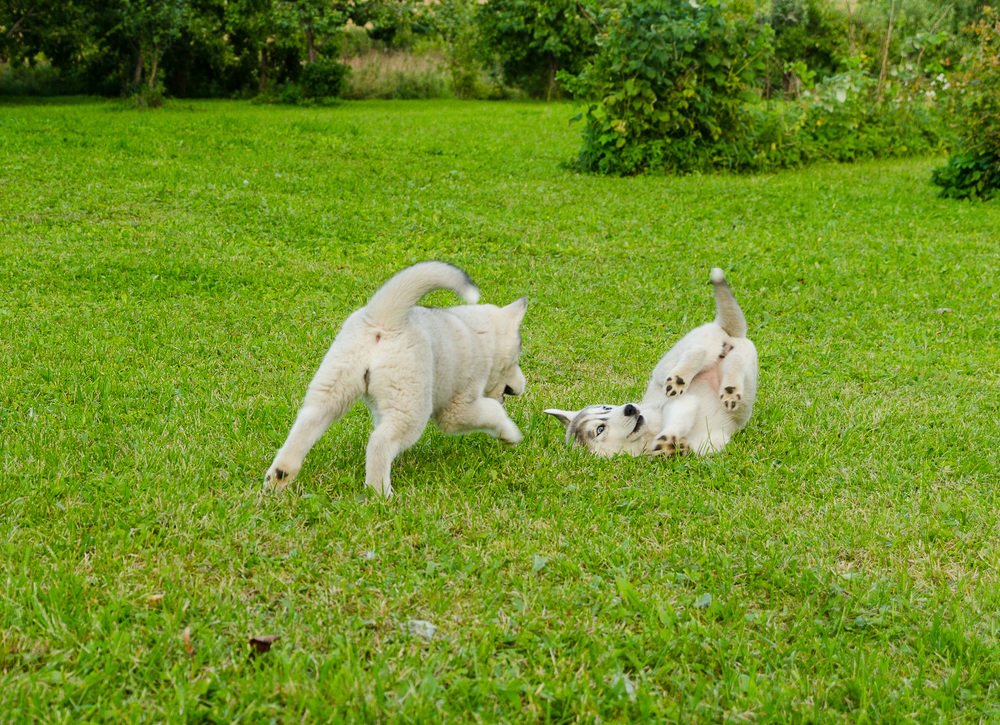 Фотография автора Юрий Макаров