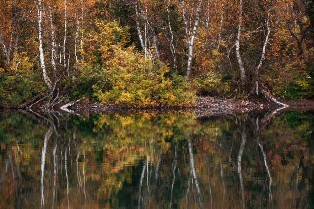 Photograph by Сергей Шабанов