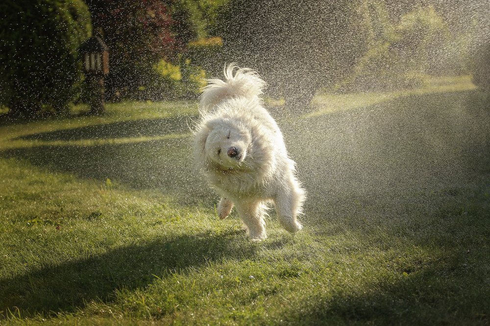 Photograph by Мария Самохина