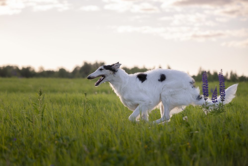 Фотография автора Сергей Овчинников