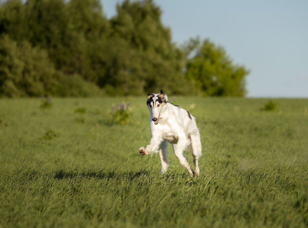 Фотография автора Сергей Овчинников