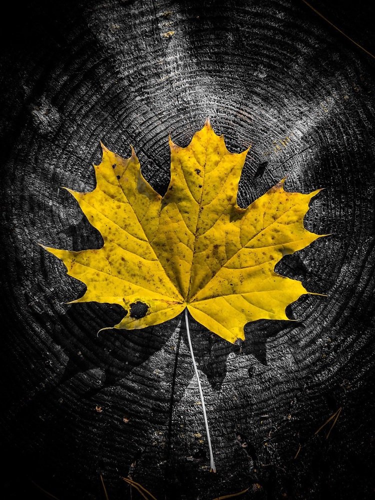 Photograph by Денис Белов