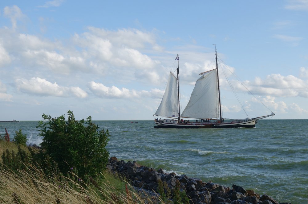 Свежий ветер