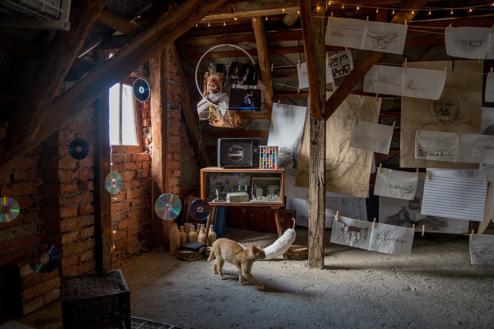 Photograph by Petra Bajusova